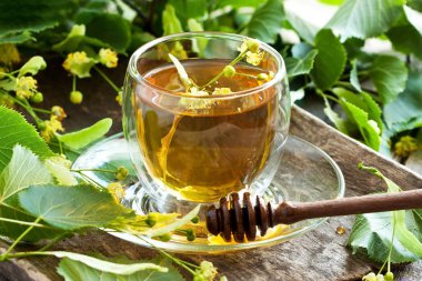 Şeffaf cam ve ıhlamur çiçekli ıhlamur çayı.