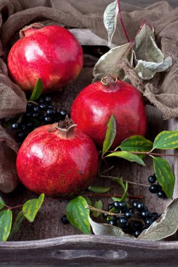 Taze yaz meyveleri grubu-yeşil yaprakları ile nar