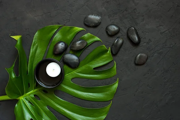 Spa taşları ve yeşil monstera yaprağı, zen konsepti — Stok fotoğraf