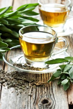 Adaçayı yapraklarından yapılan infüzyon. Şifalı bitki Salvia officinali