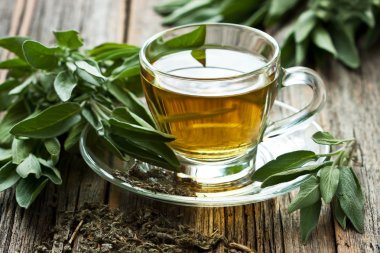 Adaçayı yapraklarından yapılan infüzyon. Şifalı bitki Salvia officinali