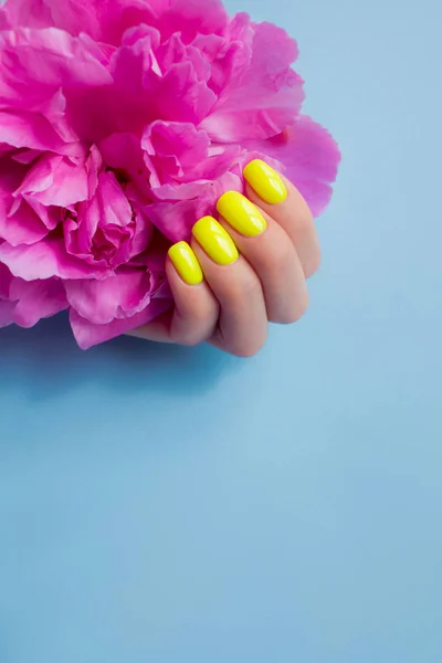 Elegante manicura femenina de moda. Uñas de color amarillo neón con flores de peonía rosa sobre fondo azul . — Foto de Stock