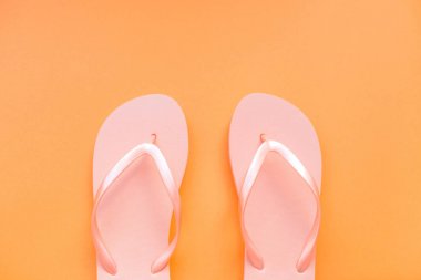 Mercan arka planda yaşayan mercan parmak arası terlik.