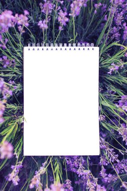 Lavanta arka planda boş not defteri. Konsept okul malzemeleri.