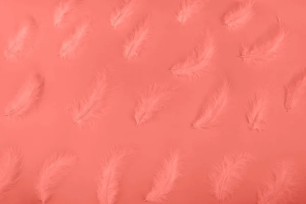 Plumas rosadas sobre un fondo azul neón. Copiar espacio . — Foto de Stock