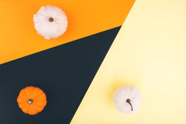 Cadılar Bayramı balkabakları turuncu, sarı ve siyah arka planda. Tasarım için yer.