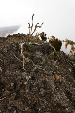 Vadiler kayalar ve tepeler üzerinde Kilimanjaro Dağı, Afrika.