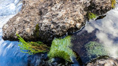 Kilimanjaro Dağı, Afrika ayrıntılarını.
