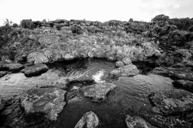 Kilimanjaro Dağı, Afrika ayrıntılarını.