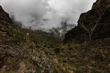Vadiler kayalar ve tepeler üzerinde Kilimanjaro Dağı, Afrika.