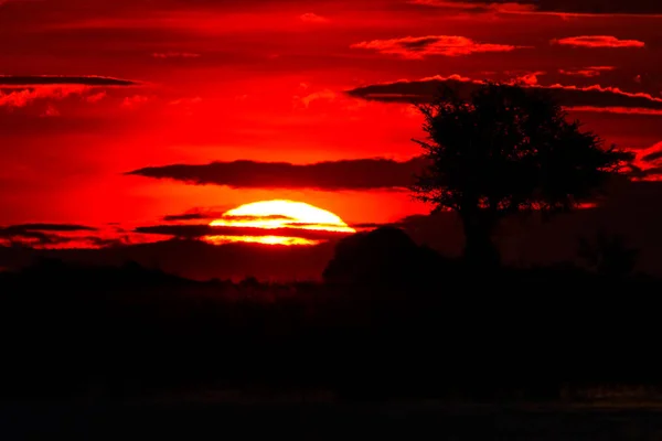 Pôr Sol Vermelho Com Nuvens Detalhadas Árvore África — Fotografia de Stock