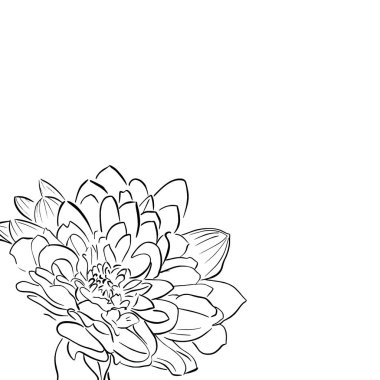 Siyah ve beyaz kroki