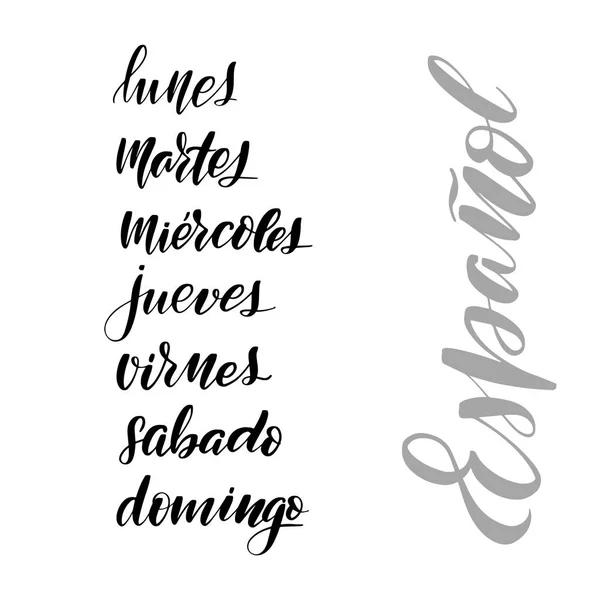 Handgeschreven borstel belettering — Stockvector