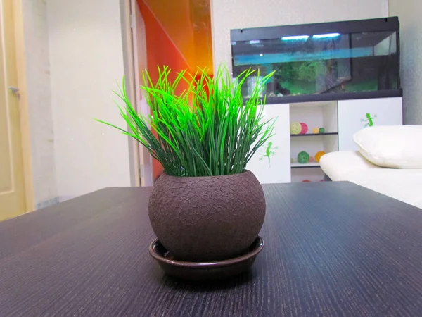 Small artificial grass in a pot of beige color, round shape, has a natural color and appearance