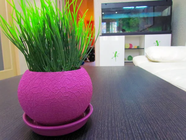 Small artificial grass in a pot of beige color, round shape, has a natural color and appearance