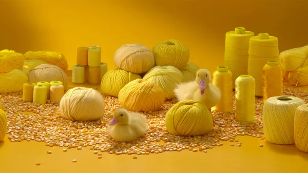 Two yellow ducks on a background of yellow objects such as thread and grain