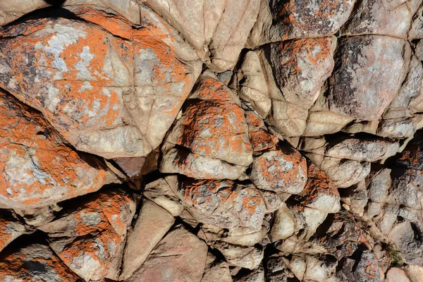 Koyu Kahverengi Pas Renkli Maruz Eski Deniz Dibinin — Stok fotoğraf