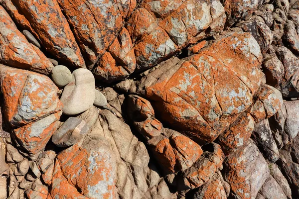 Koyu Kahverengi Pas Renkli Maruz Eski Deniz Dibinin — Stok fotoğraf