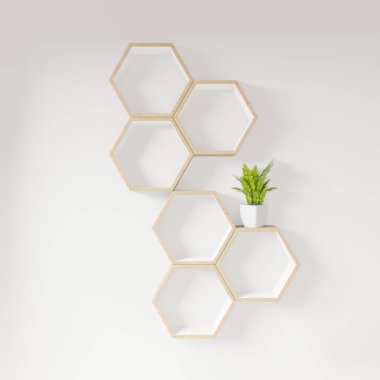 Altıgen raf kitapları ve bitki dekorasyonu iç tasarımı. Boylamsal