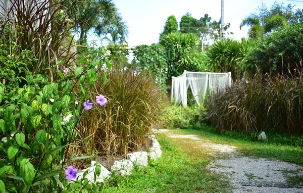 在花园里的紫罗兰和白色的花与草田 图库图片