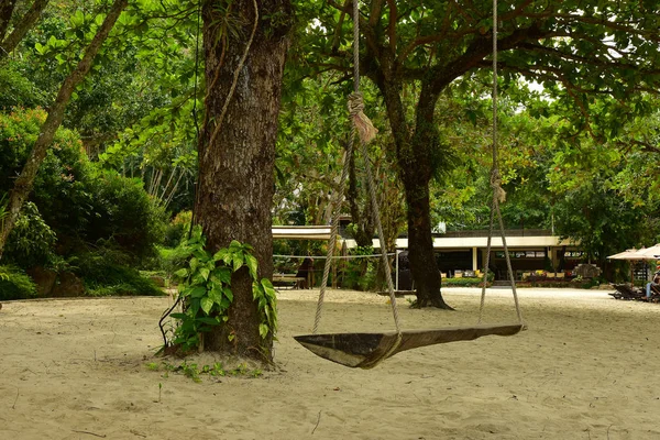 Columpio Madera Vintage Cerca Del Gran Árbol Playa Arena — Foto de Stock