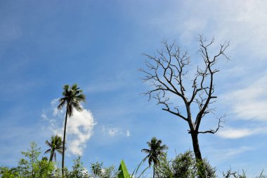 Fark kaç ölü ve canlı
