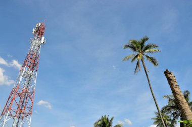 Teknoloji ve doğa arasındaki farkı çift