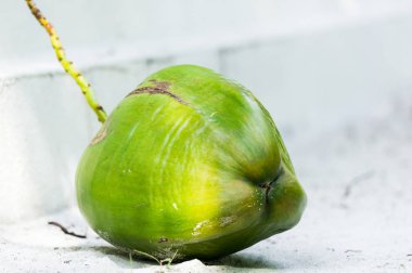 Bütün yeşil olgun hindistan cevizi beyaz kum