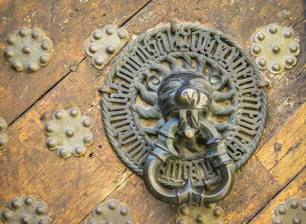Poignée de porte sculptée en forme de lion sur une vieille porte en bois — Photo