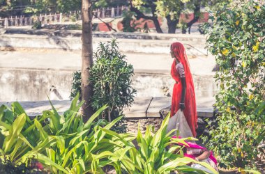 Udaipur, Hindistan - 10 Şubat 2014 - Bahçede çalışan iki Hintli kadın