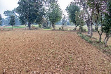 Tarım tarım arazileri, son zamanlarda traktör tarafından çiftçilik. ağaçları ile kaplı formland.