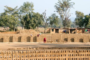 Satır toprak çamur tuğla kurutma için aç yerleştirin. tuğla yapma kadın işgücü