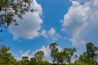 Mavi gökyüzü ve bulutlar görünümü alt ufuk ağaçlarda ile