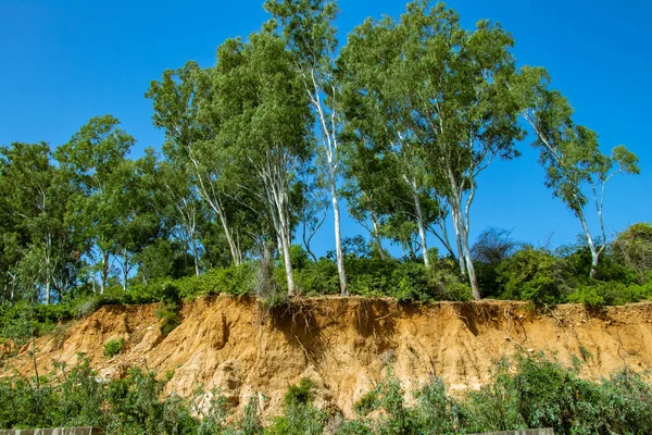 Yollar toprak yapım sırasında kesilmiş yol nedeniyle erozyon ve ağaçlar Kökleri açıldı