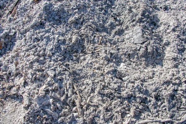 Kül şöminin ahşap arka plan doku, gri küllerinden gri