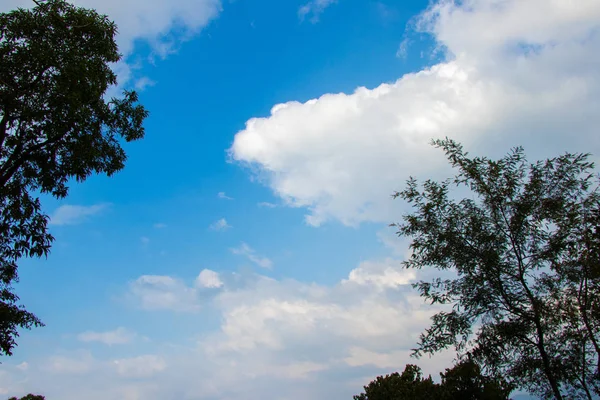 Witte Wolken Blauwe Hemel Zien Door Bomen — Stockfoto