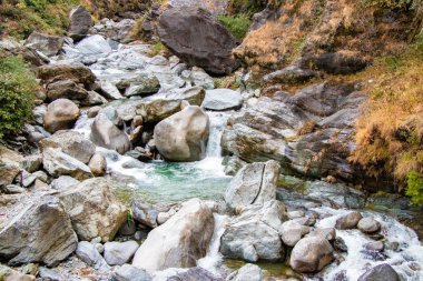 Ormanda, moss üzerinde yeşil yosunlu kayalar üzerinden akan dere orman nehir rapids akan kayalar