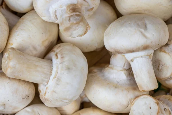 Fresh Raw Mushroom Wooden Basket Closeup Top View Stock Photo