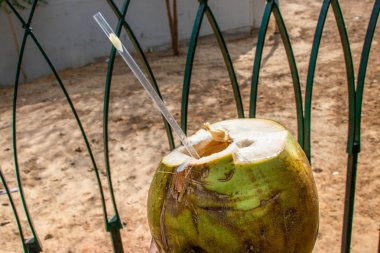 Yeşil Hindistan cevizi su bardağı taşıran damla içme ile görünümü kapatın