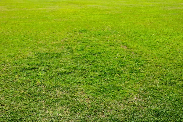 暗い緑庭の芝生 新鮮な刈った芝生と静かなきれいな庭園 — ストック写真