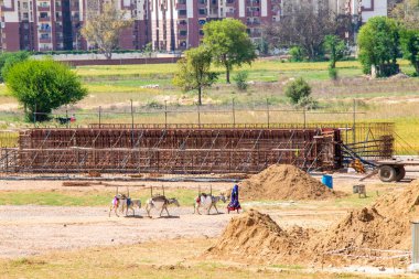 Hintli kadın eşeklerle inşaat alanında yürüyor