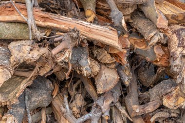 Ağaç yakacak odun ahşap yığılmış afetr pirzola