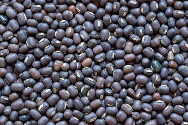 Lentejas de Gramo Negro o Urad Dal despellejado, primer plano — Foto de Stock