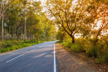 Geceleri gün batımı boyunca ağaçlarla yalnız yol veya karayolu.