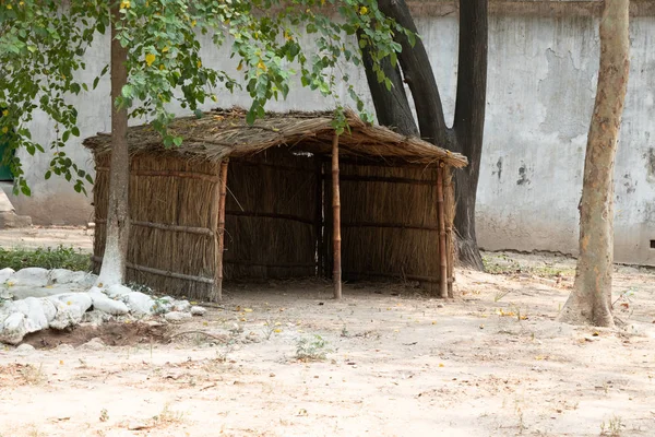 Wood grass Hut in Zoo