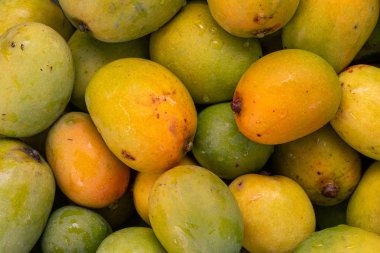 Lezzetli doğal olgunlaştırılmış Mangoes.