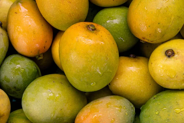 Lezzetli doğal olgunlaştırılmış Mangoes.