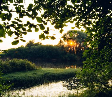 buğday tarlası üzerinde gün doğumu gün batımı