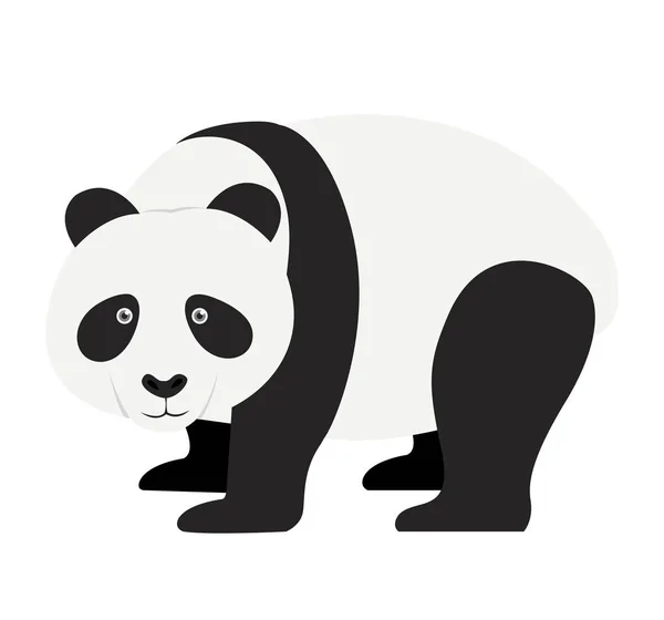Panda düz tasarım vektör çizim üzerinde beyaz izole 