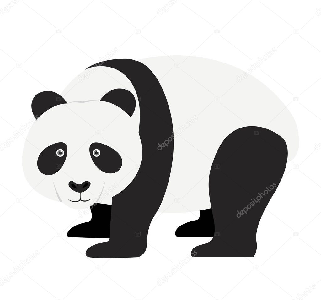 Panda flat design vector illustration isolated on white 